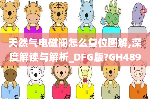 天然气电磁阀怎么复位图解,深度解读与解析_DFG版?GH489