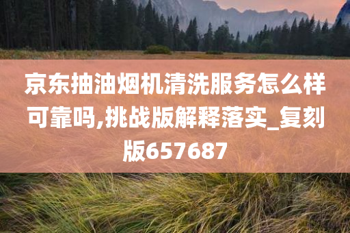 京东抽油烟机清洗服务怎么样可靠吗,挑战版解释落实_复刻版657687