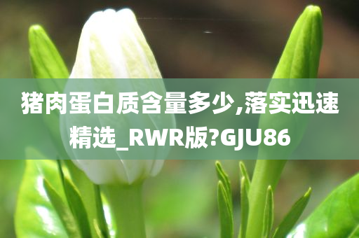 猪肉蛋白质含量多少,落实迅速精选_RWR版?GJU86