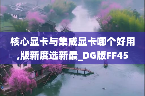 核心显卡与集成显卡哪个好用,版新度选新最_DG版FF45