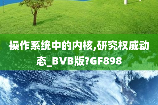 操作系统中的内核,研究权威动态_BVB版?GF898