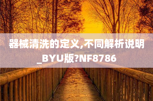 器械清洗的定义,不同解析说明_BYU版?NF8786