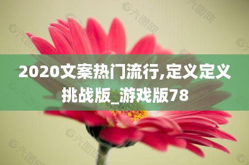 2020文案热门流行,定义定义挑战版_游戏版78