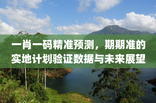 一肖一码精准预测，期期准的实地计划验证数据与未来展望