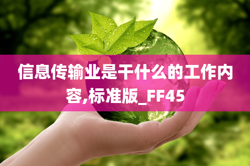 信息传输业是干什么的工作内容,标准版_FF45