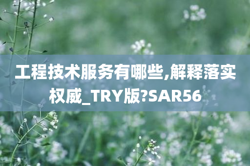 工程技术服务有哪些,解释落实权威_TRY版?SAR56