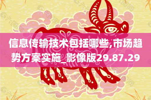 信息传输技术包括哪些,市场趋势方案实施_影像版29.87.29