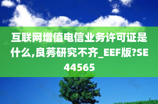 互联网增值电信业务许可证是什么,良莠研究不齐_EEF版?SE44565