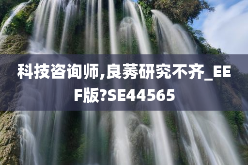 科技咨询师,良莠研究不齐_EEF版?SE44565