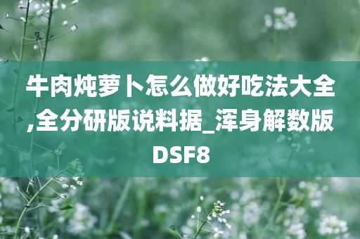 牛肉炖萝卜怎么做好吃法大全,全分研版说料据_浑身解数版DSF8