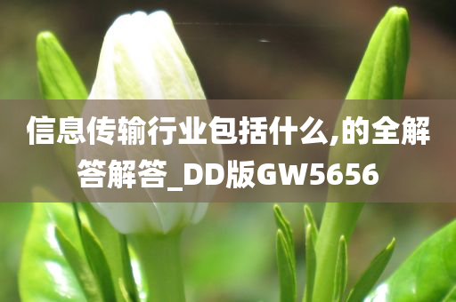 信息传输行业包括什么,的全解答解答_DD版GW5656