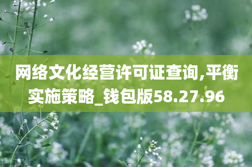 网络文化经营许可证查询,平衡实施策略_钱包版58.27.96