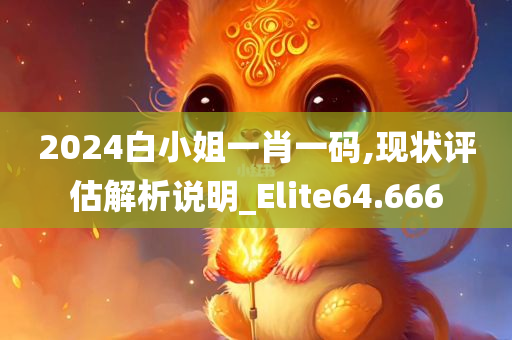 2024白小姐一肖一码,现状评估解析说明_Elite64.666