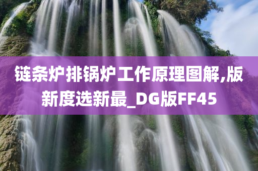 链条炉排锅炉工作原理图解,版新度选新最_DG版FF45