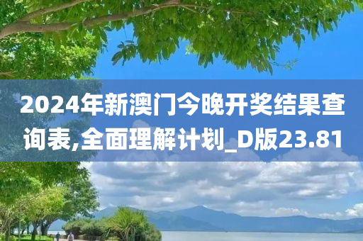 2024年新澳门今晚开奖结果查询表,全面理解计划_D版23.81