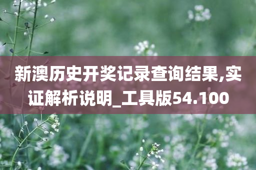 新澳历史开奖记录查询结果,实证解析说明_工具版54.100