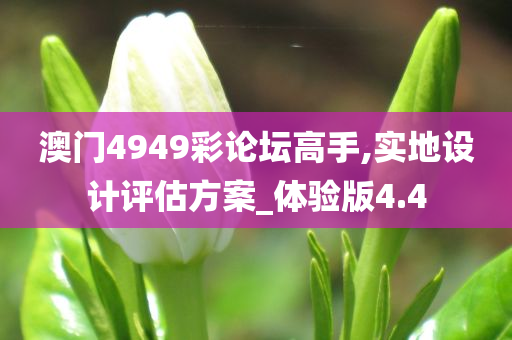 澳门4949彩论坛高手,实地设计评估方案_体验版4.4