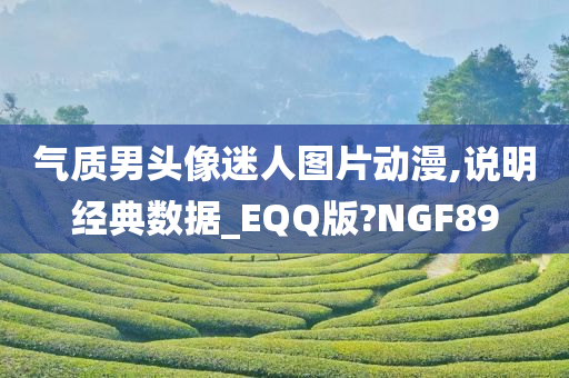 气质男头像迷人图片动漫,说明经典数据_EQQ版?NGF89