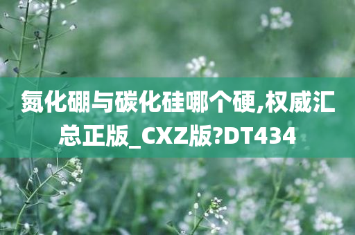 氮化硼与碳化硅哪个硬,权威汇总正版_CXZ版?DT434