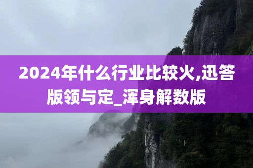 2024年什么行业比较火,迅答版领与定_浑身解数版