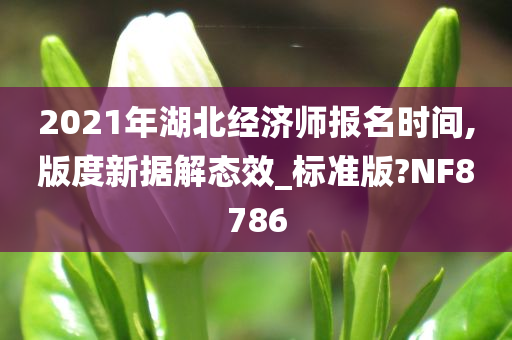 2021年湖北经济师报名时间,版度新据解态效_标准版?NF8786