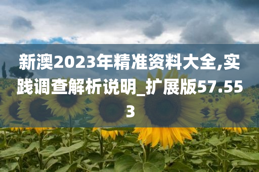 新澳2023年精准资料大全,实践调查解析说明_扩展版57.553