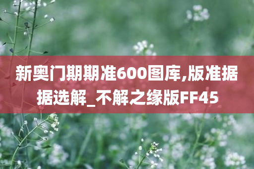 新奥门期期准600图库,版准据据选解_不解之缘版FF45