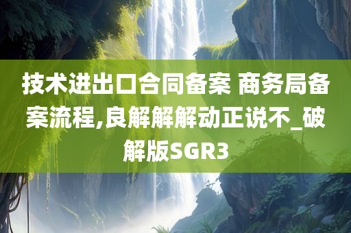 技术进出口合同备案 商务局备案流程,良解解解动正说不_破解版SGR3