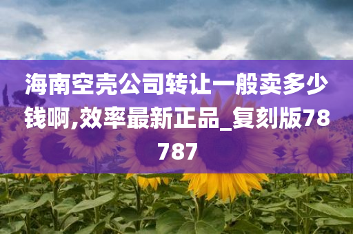 海南空壳公司转让一般卖多少钱啊,效率最新正品_复刻版78787