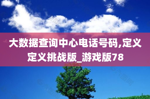 大数据查询中心电话号码,定义定义挑战版_游戏版78