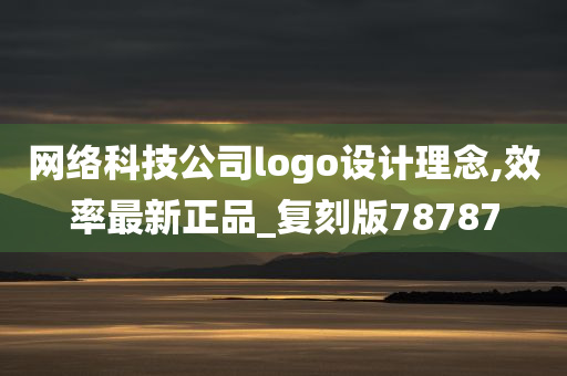 网络科技公司logo设计理念,效率最新正品_复刻版78787