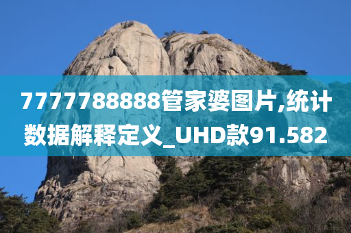 7777788888管家婆图片,统计数据解释定义_UHD款91.582