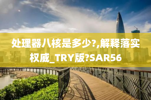 处理器八核是多少?,解释落实权威_TRY版?SAR56