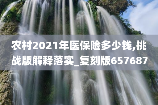 农村2021年医保险多少钱,挑战版解释落实_复刻版657687