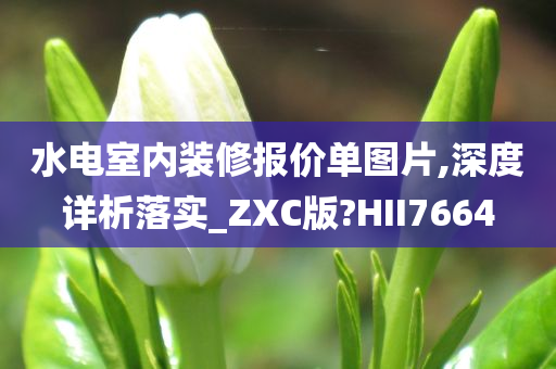 水电室内装修报价单图片,深度详析落实_ZXC版?HII7664