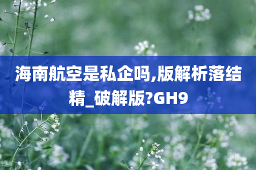 海南航空是私企吗,版解析落结精_破解版?GH9