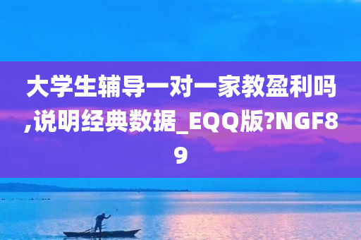 大学生辅导一对一家教盈利吗,说明经典数据_EQQ版?NGF89