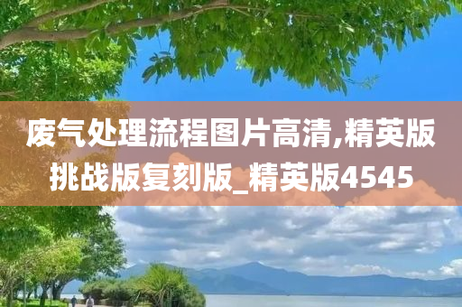 废气处理流程图片高清,精英版挑战版复刻版_精英版4545