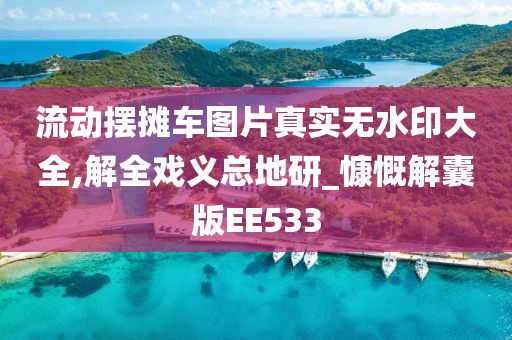 流动摆摊车图片真实无水印大全,解全戏义总地研_慷慨解囊版EE533