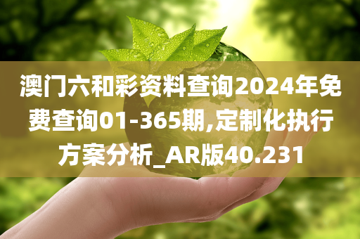 澳门六和彩资料查询2024年免费查询01-365期,定制化执行方案分析_AR版40.231