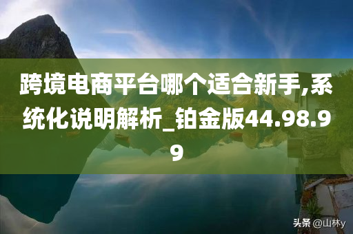 跨境电商平台哪个适合新手,系统化说明解析_铂金版44.98.99