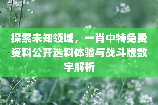 探索未知领域，一肖中特免费资料公开选料体验与战斗版数字解析