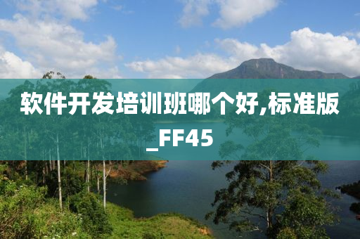 软件开发培训班哪个好,标准版_FF45