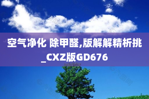 空气净化 除甲醛,版解解精析挑_CXZ版GD676