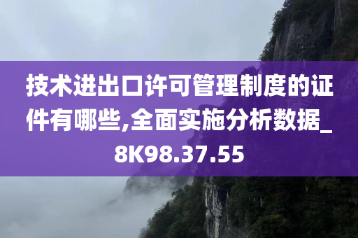 技术进出口许可管理制度的证件有哪些,全面实施分析数据_8K98.37.55