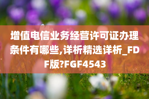 增值电信业务经营许可证办理条件有哪些,详析精选详析_FDF版?FGF4543