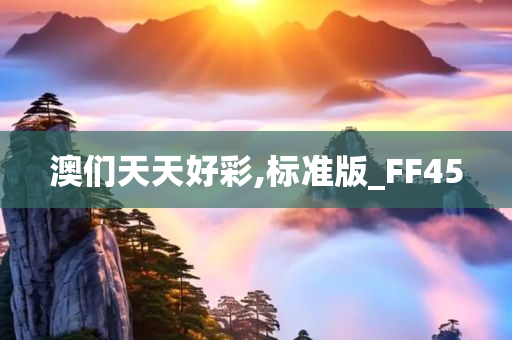 澳们天天好彩,标准版_FF45