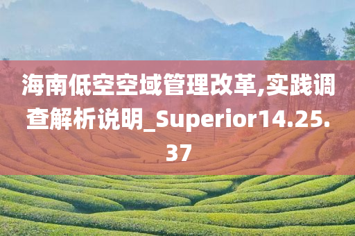 海南低空空域管理改革,实践调查解析说明_Superior14.25.37