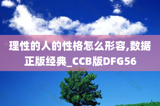 理性的人的性格怎么形容,数据正版经典_CCB版DFG56