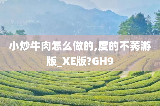 小炒牛肉怎么做的,度的不莠游版_XE版?GH9